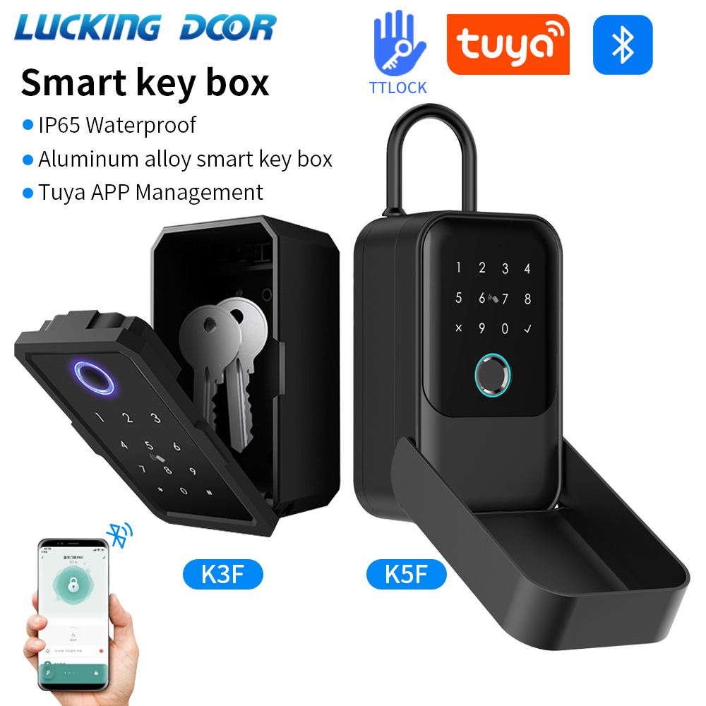 Smart Home Box - Tuya vida inteligente app ou ttlock