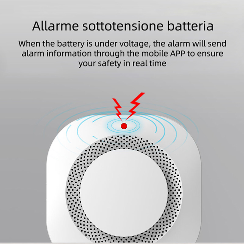 Smart Smoke Detector - Sensor de Fumaça Tuya Zigbee, Sistema