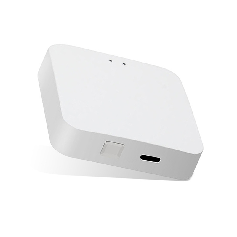 Raca-smart home ponte sem fio  - Smart Home Hub Device avaliação e preço