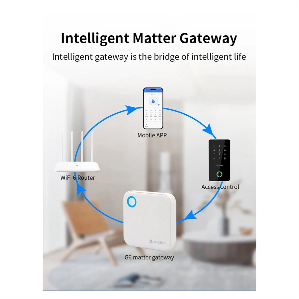 TTLOCK G6 Smart Matter Gateway - Smart Home Package avaliação e preço