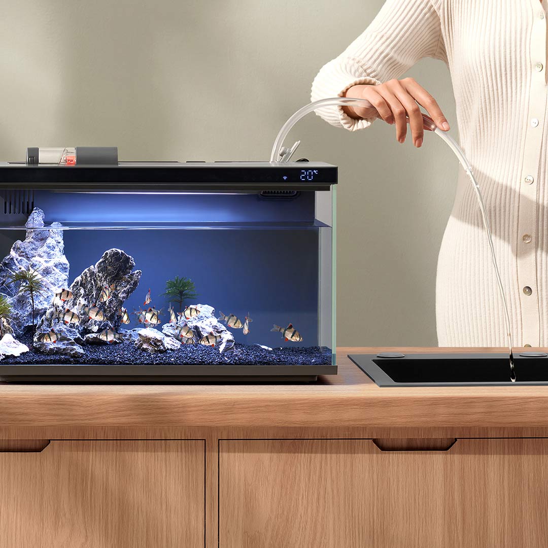 Xiaomi mijia inteligente tanqu - Smart Home Xiaomi Kit avaliação e preço