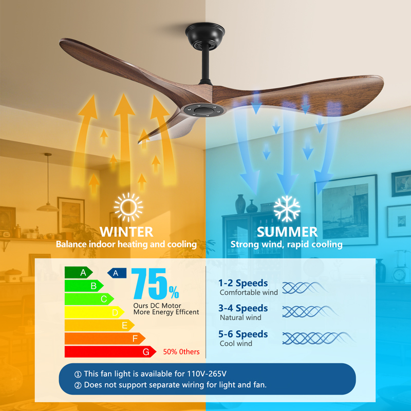Ventilador de teto com motor D - Smart Ceiling Fan avaliação e preço