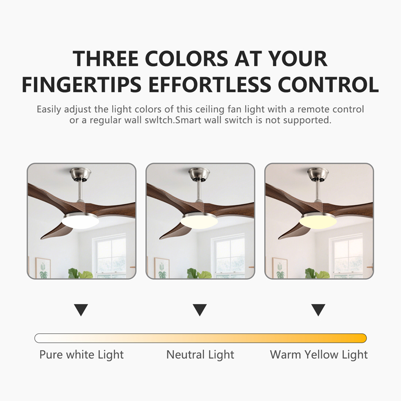 Ventilador de teto com motor D - Smart Ceiling Fan avaliação e preço